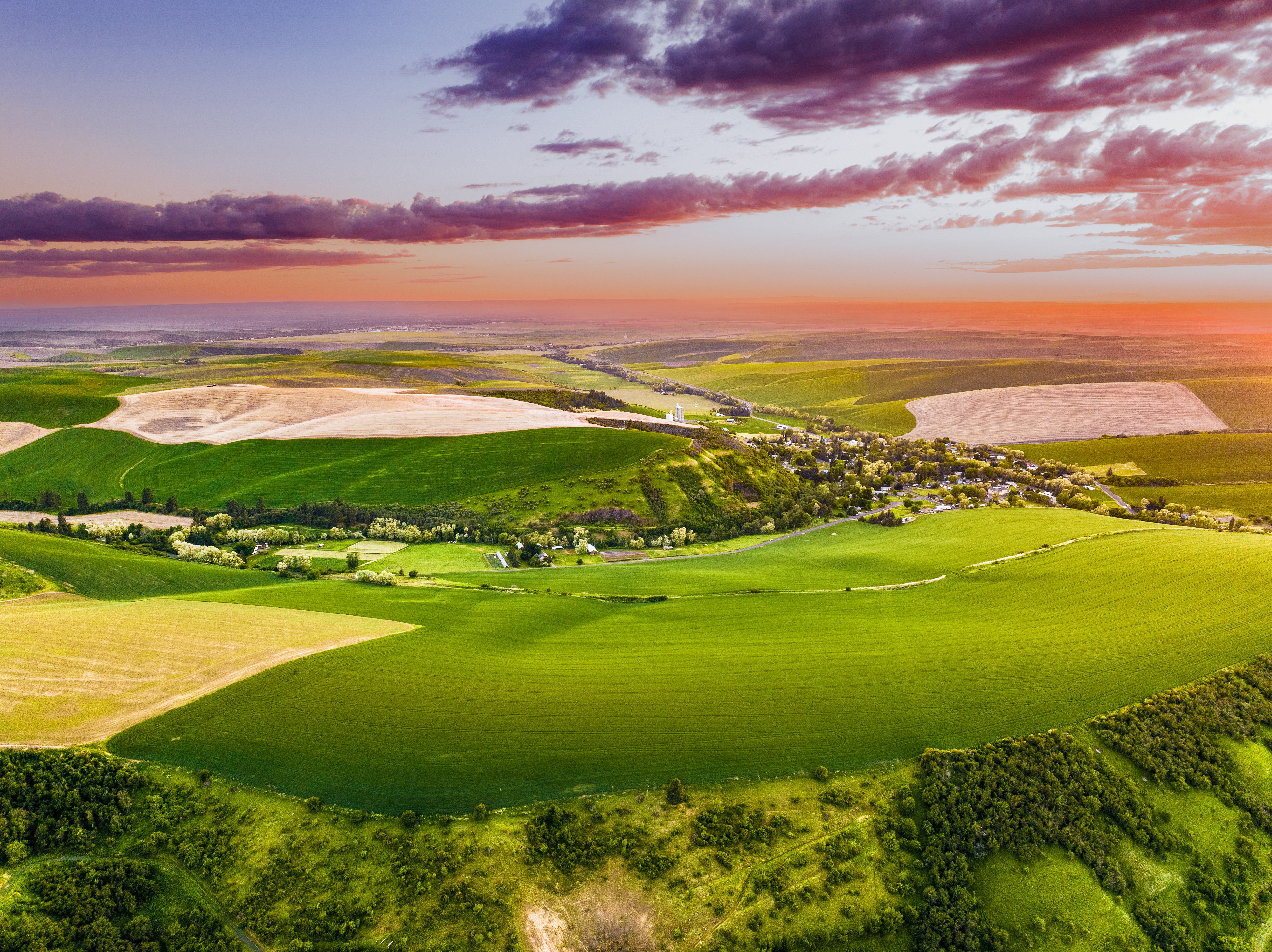 Walla Walla Valley AVA Acreage