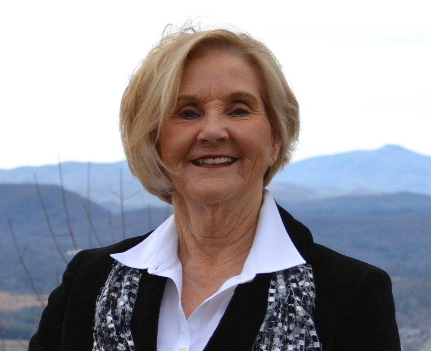 Hendersonville, North Carolina, USA Real Estate Agents & Brokers