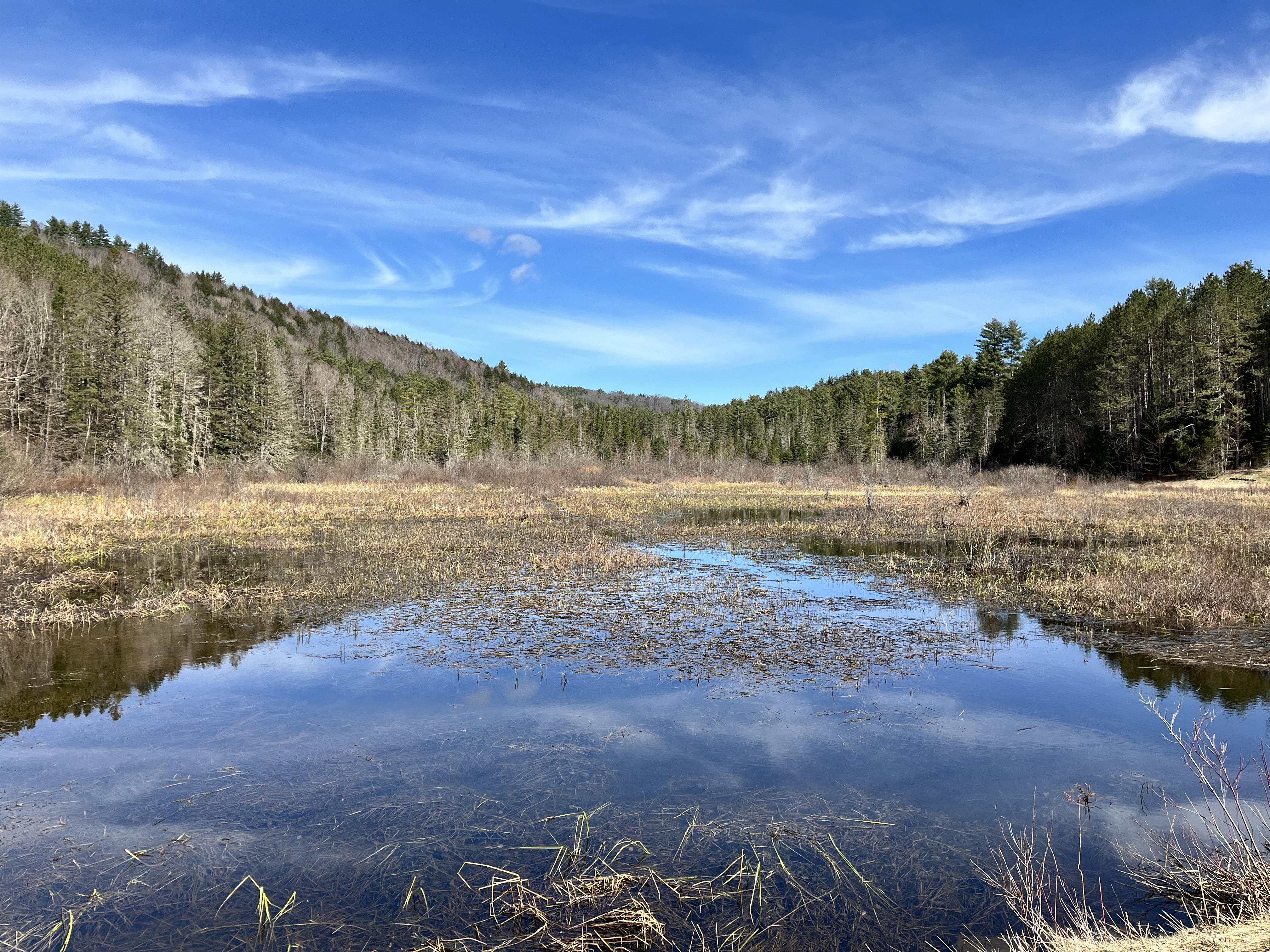 Cabin on 133 Acres in West Faiirlee