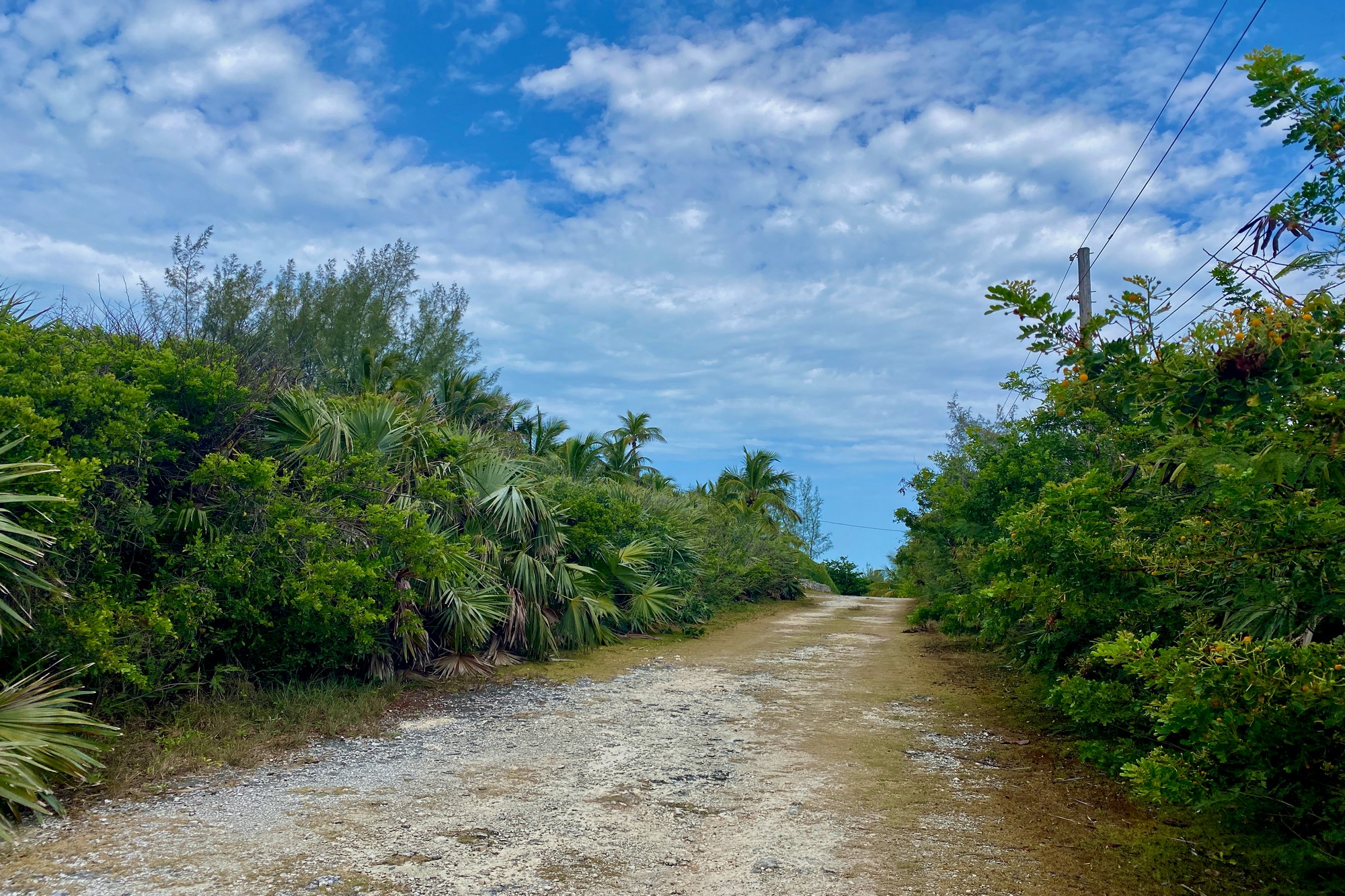 Elevated Lot with Atlantic Views