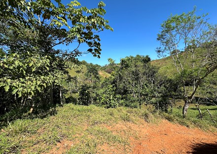 Farm to Develop in Pacuarito