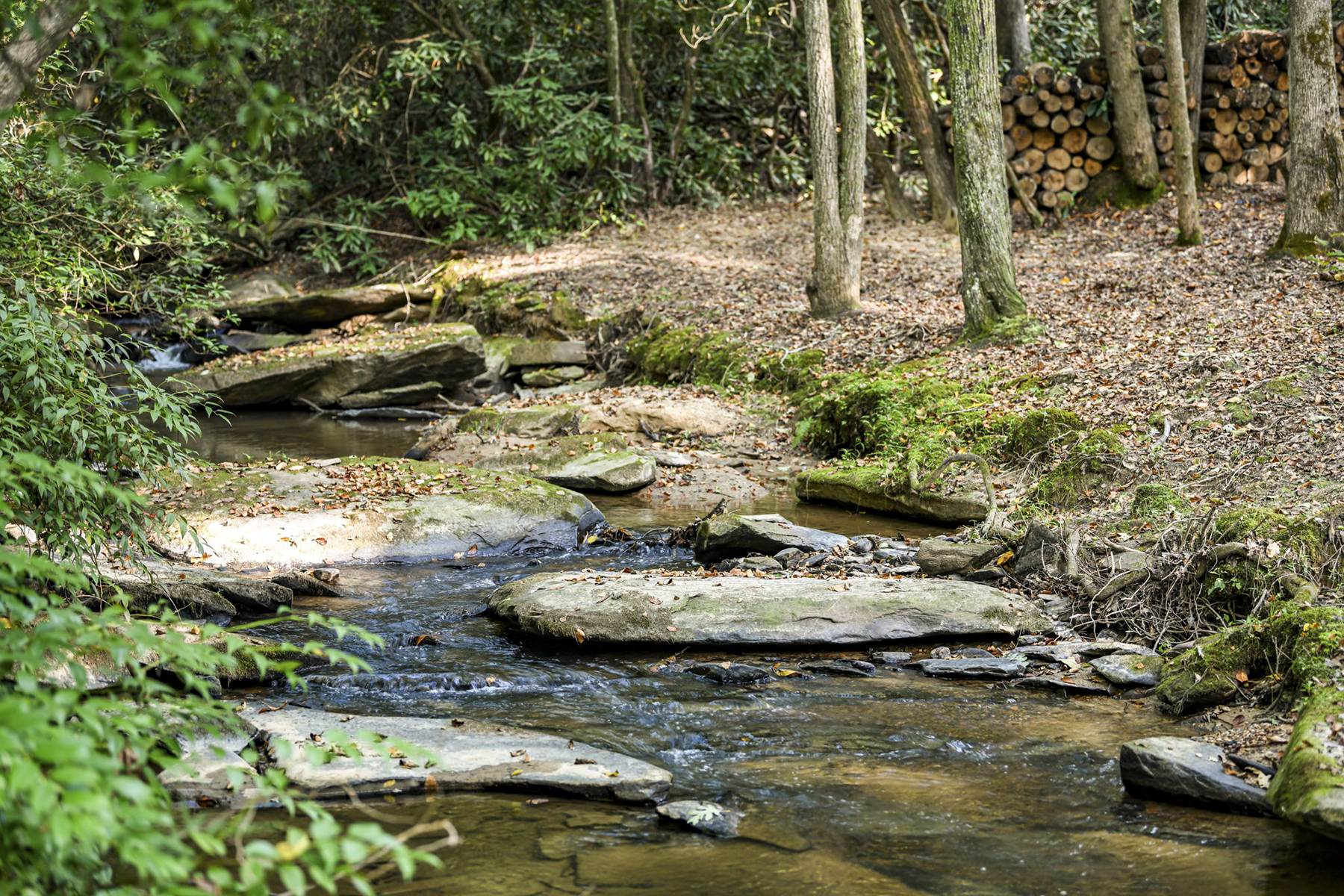 Private Oasis on Pristine Creek-Front Property