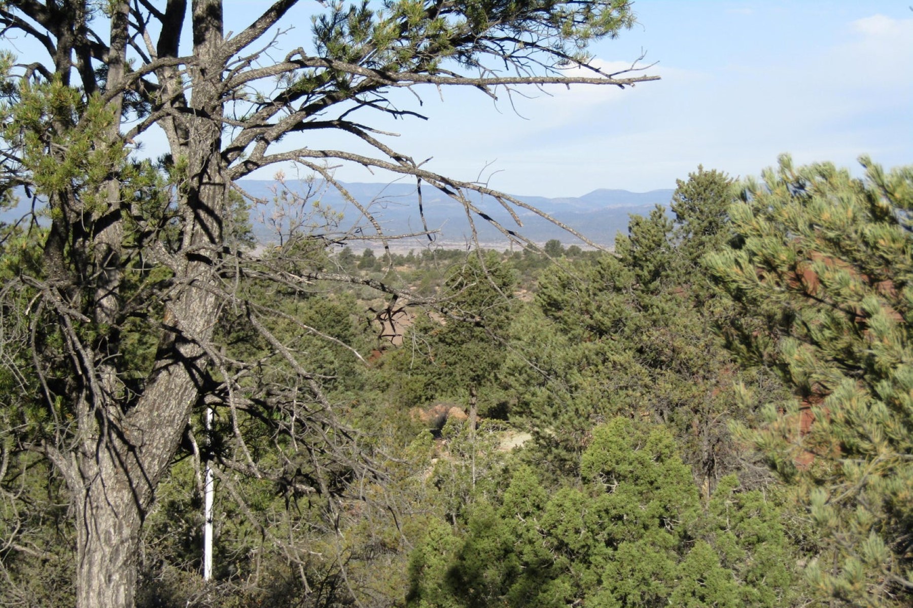 Lost Man Canyon Way