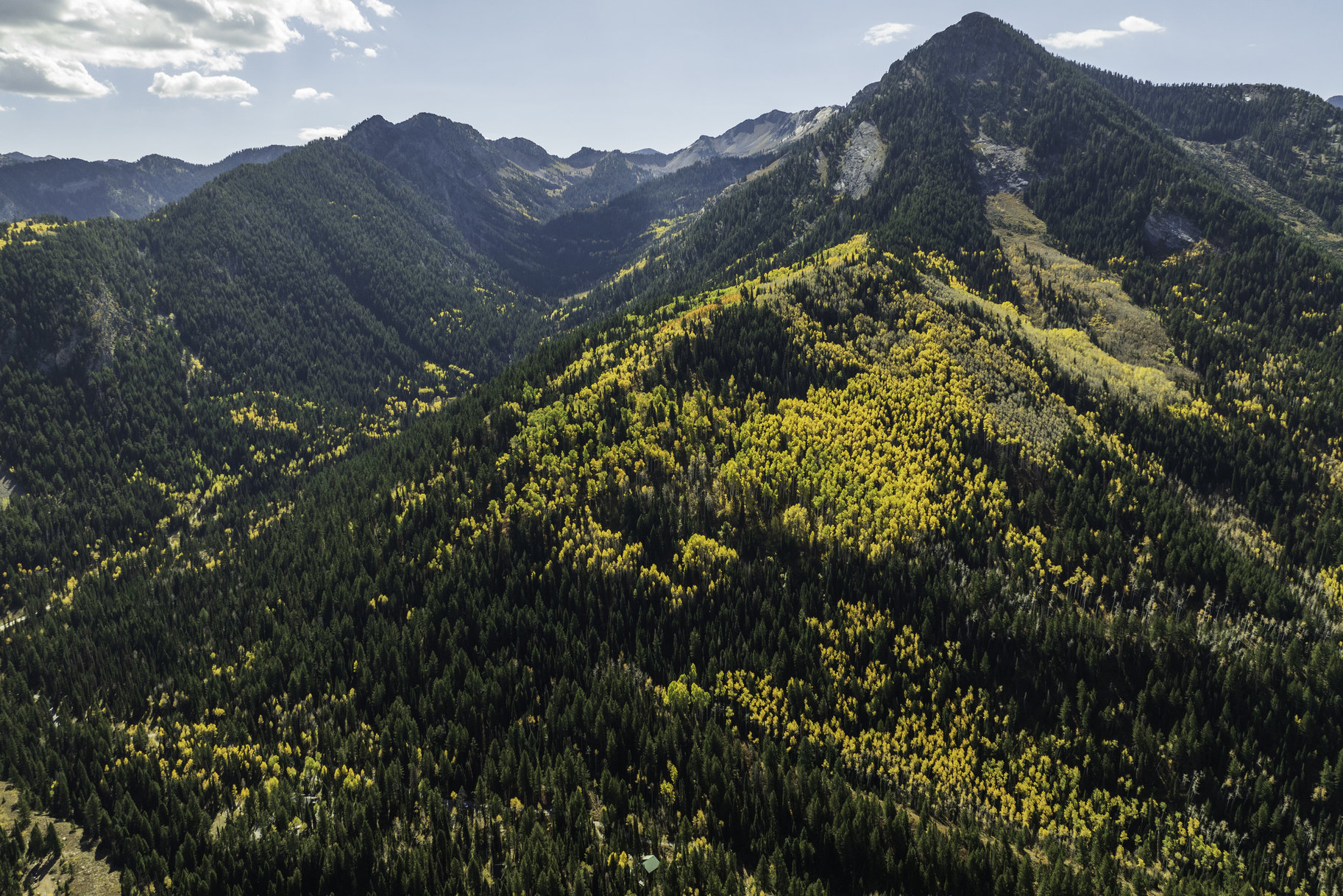 3 Acres of Big Cottonwood Canyon, Ready To Build