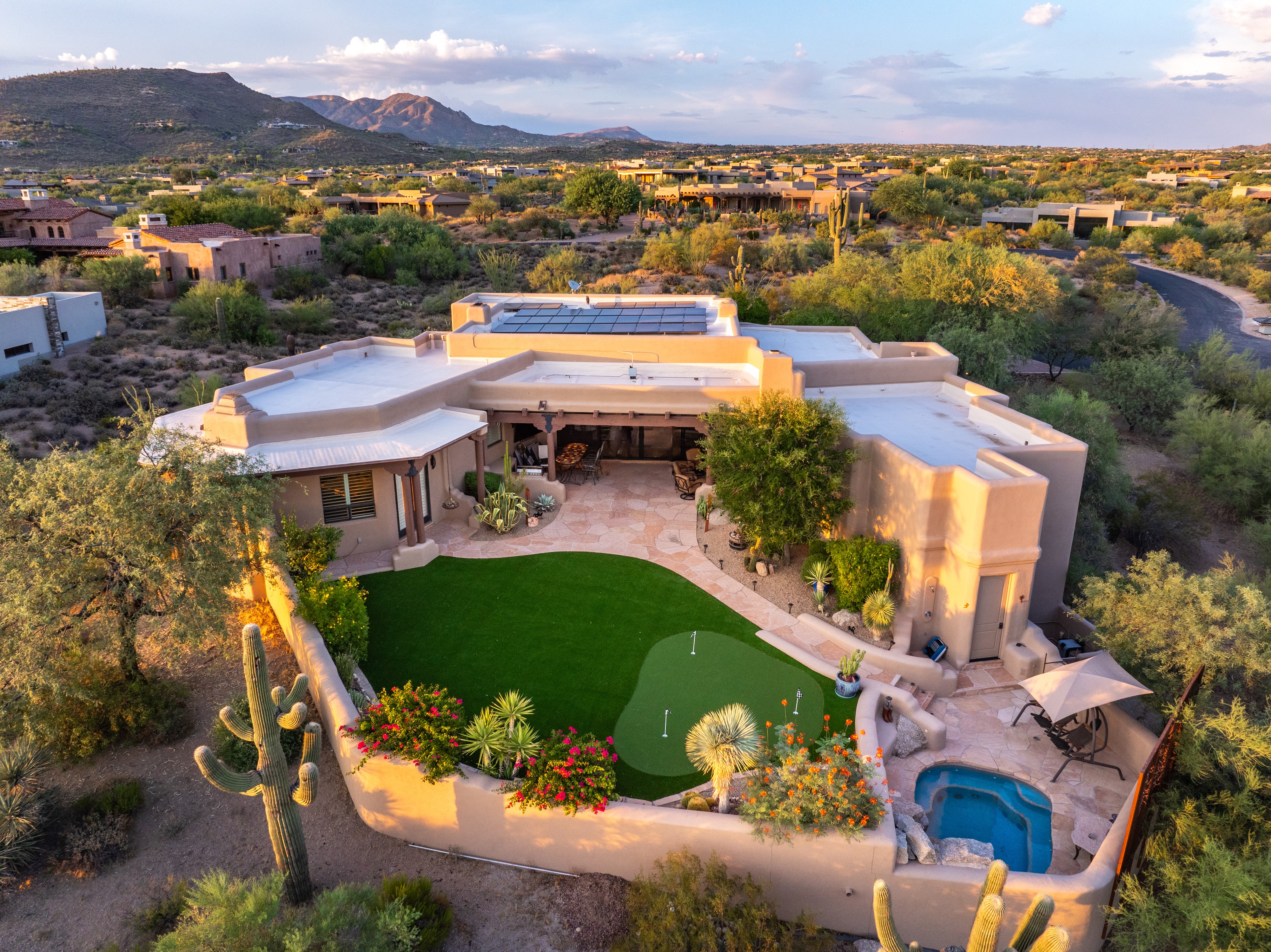 Gambel Quail lot 148