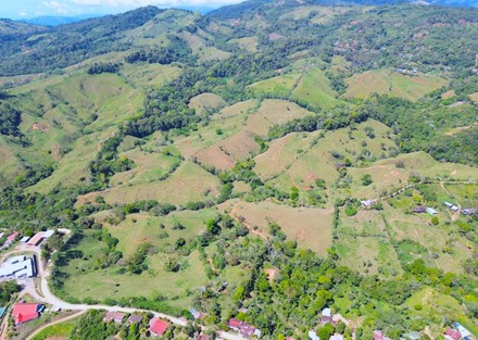 Farm to Develop in Pacuarito