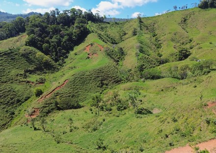 Farm to Develop in Pacuarito