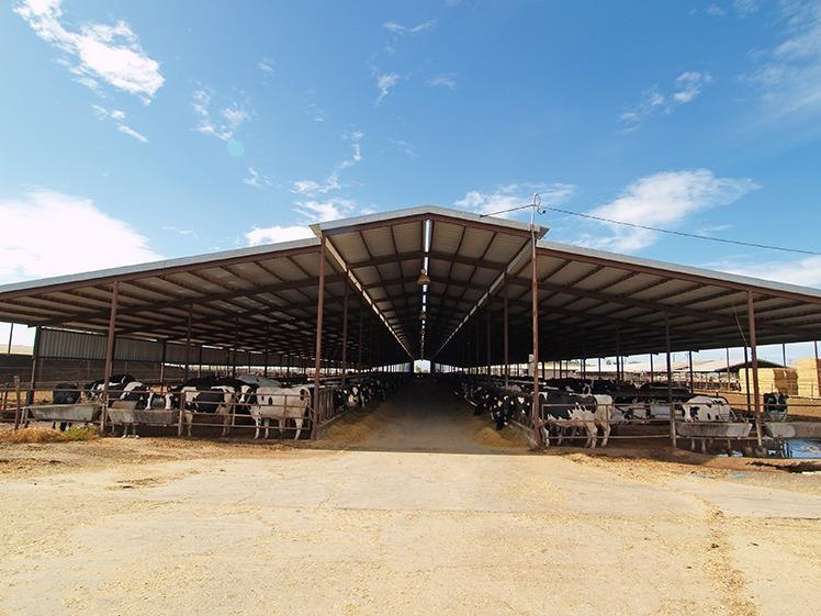 Century 21 Turlock, CA