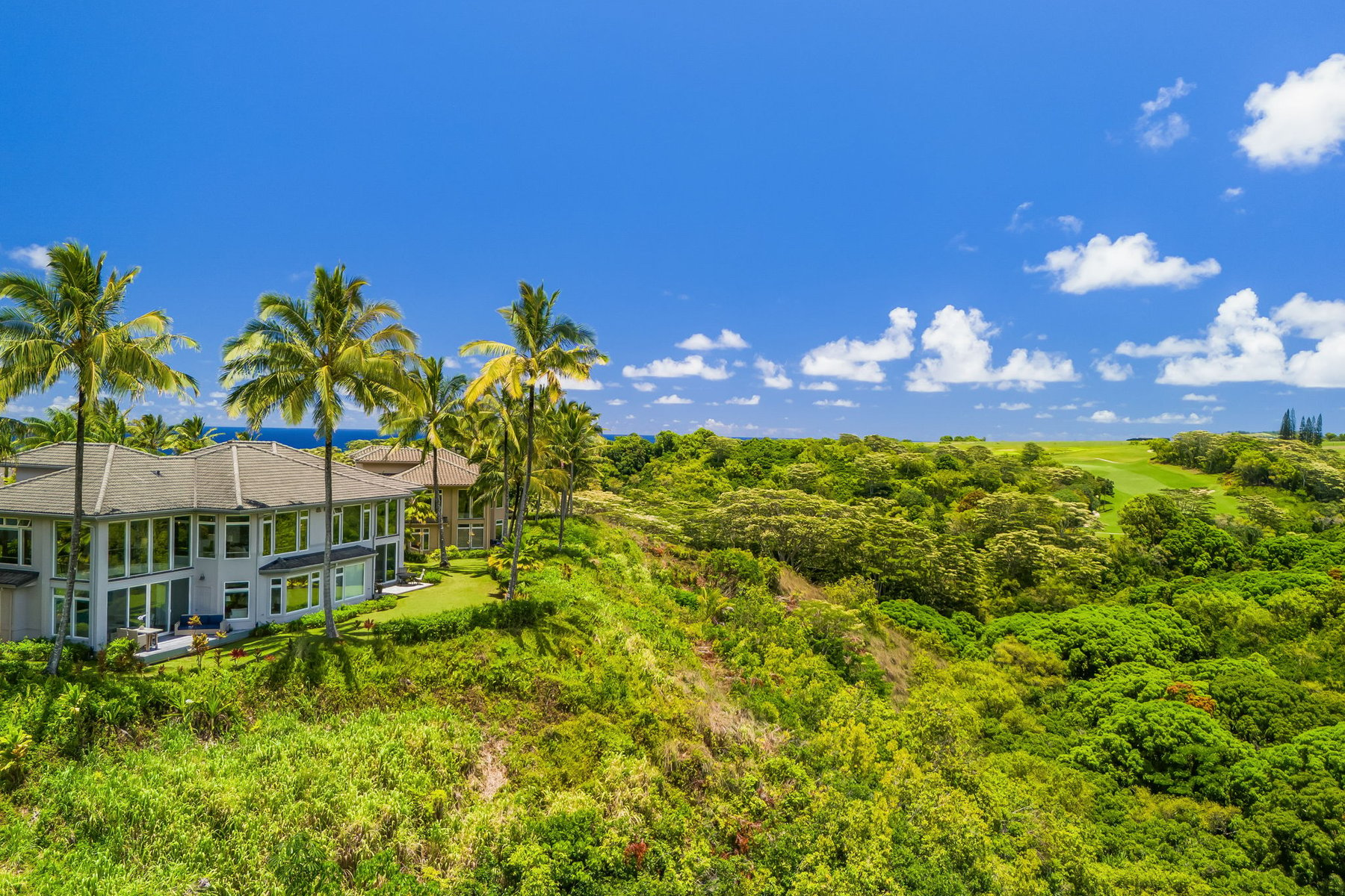 4100 QUEEN EMMA'S DR,Princeville, HI, 96722