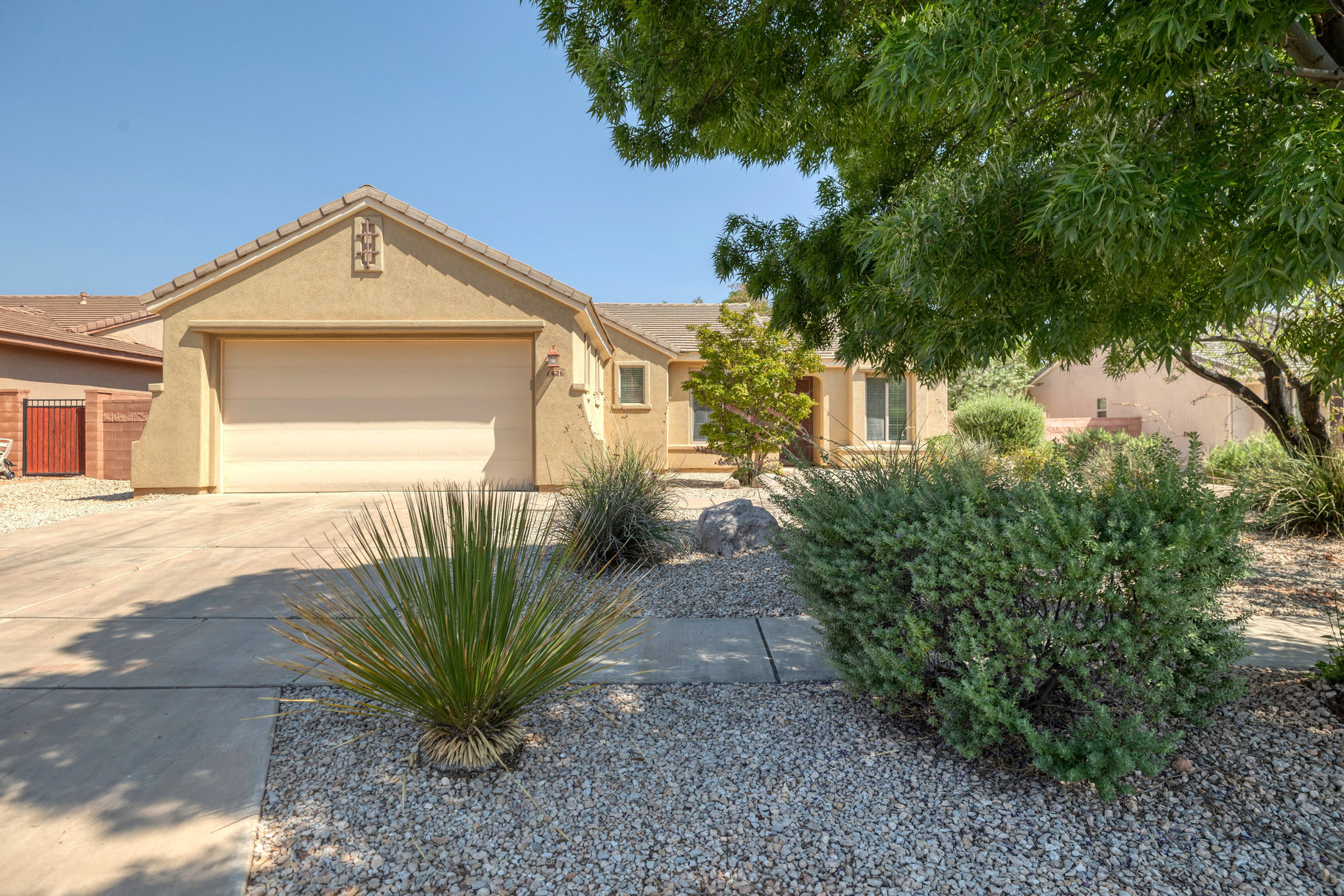 Coral Canyon Beauty