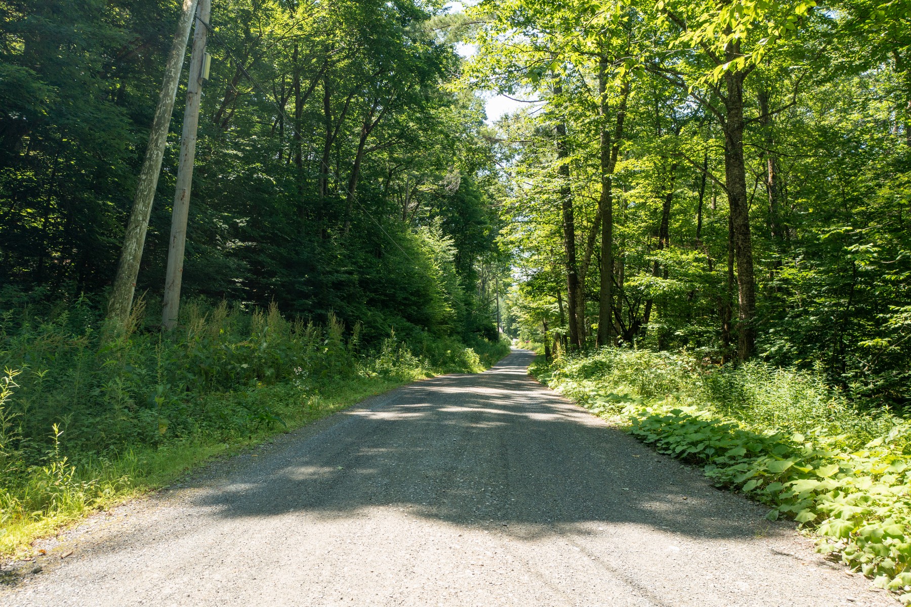 Chunks Brook Road