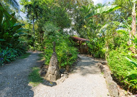 Beachfront Eco Lodge and Retreat in Cabo Matapalo, Osa Peninsula