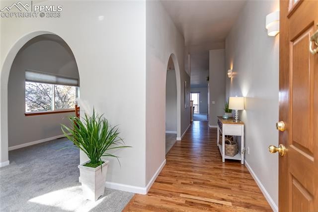 Yarrow Pl, Colorado Springs, CO 80917 #1
