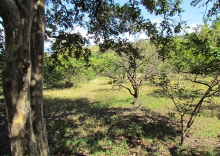 Residential lot with great view for sale in Santa Ana