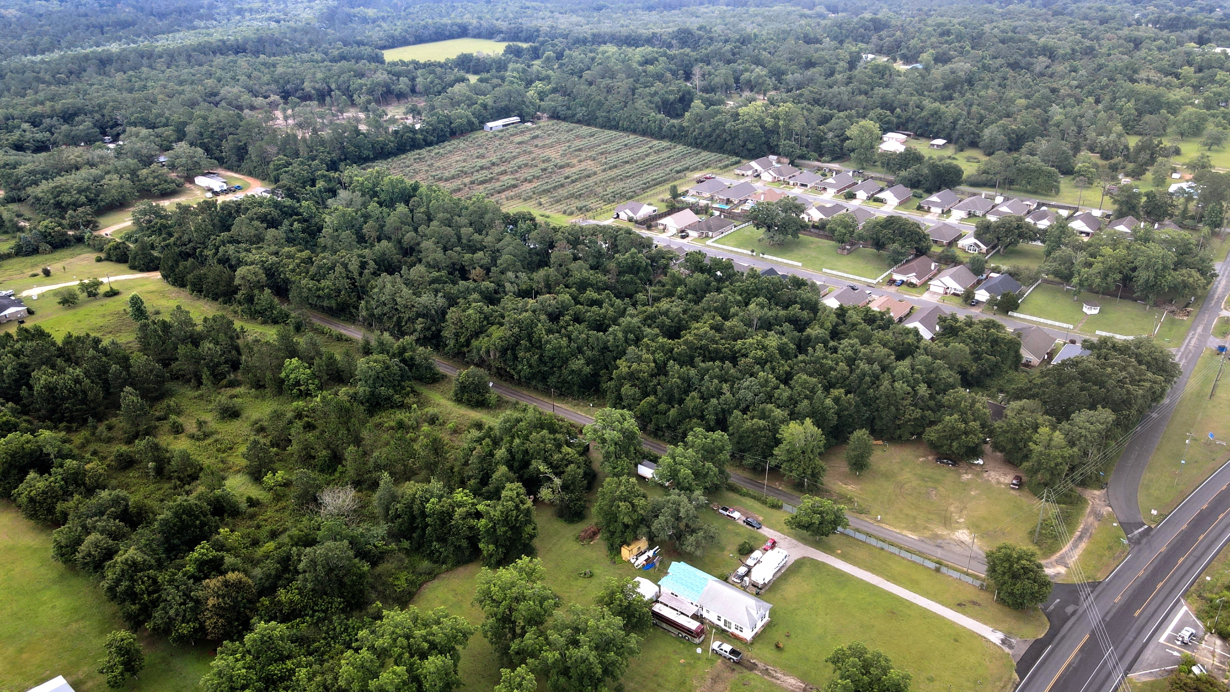 Powell Ln, Lillian, AL 36549 #1