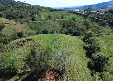 Farm to Develop in Pacuarito