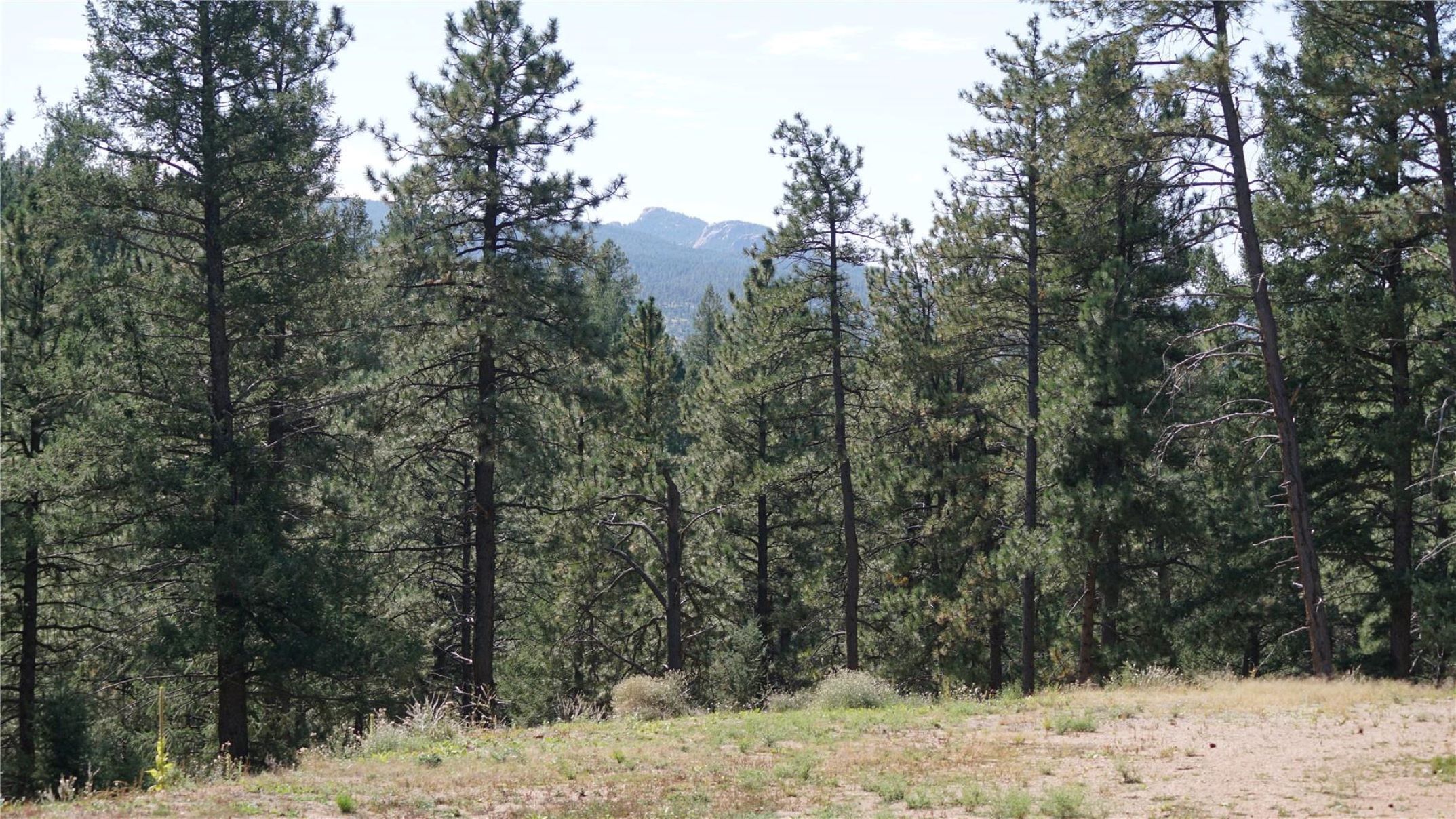 Ideal Homesite Ready For Your Mountain Home/Cabin/RV