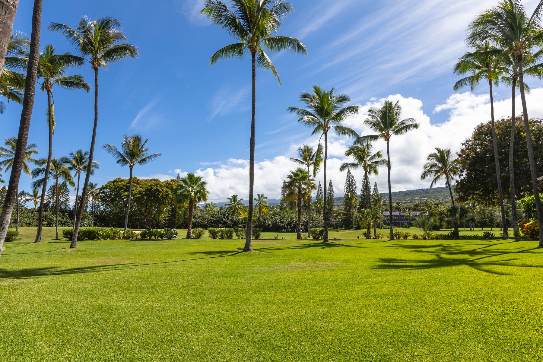 78-261 Manukai Street #1201, Kailua-Kona, HI 96740