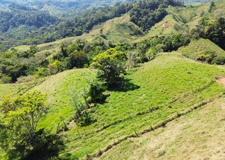 Farm to Develop in Pacuarito