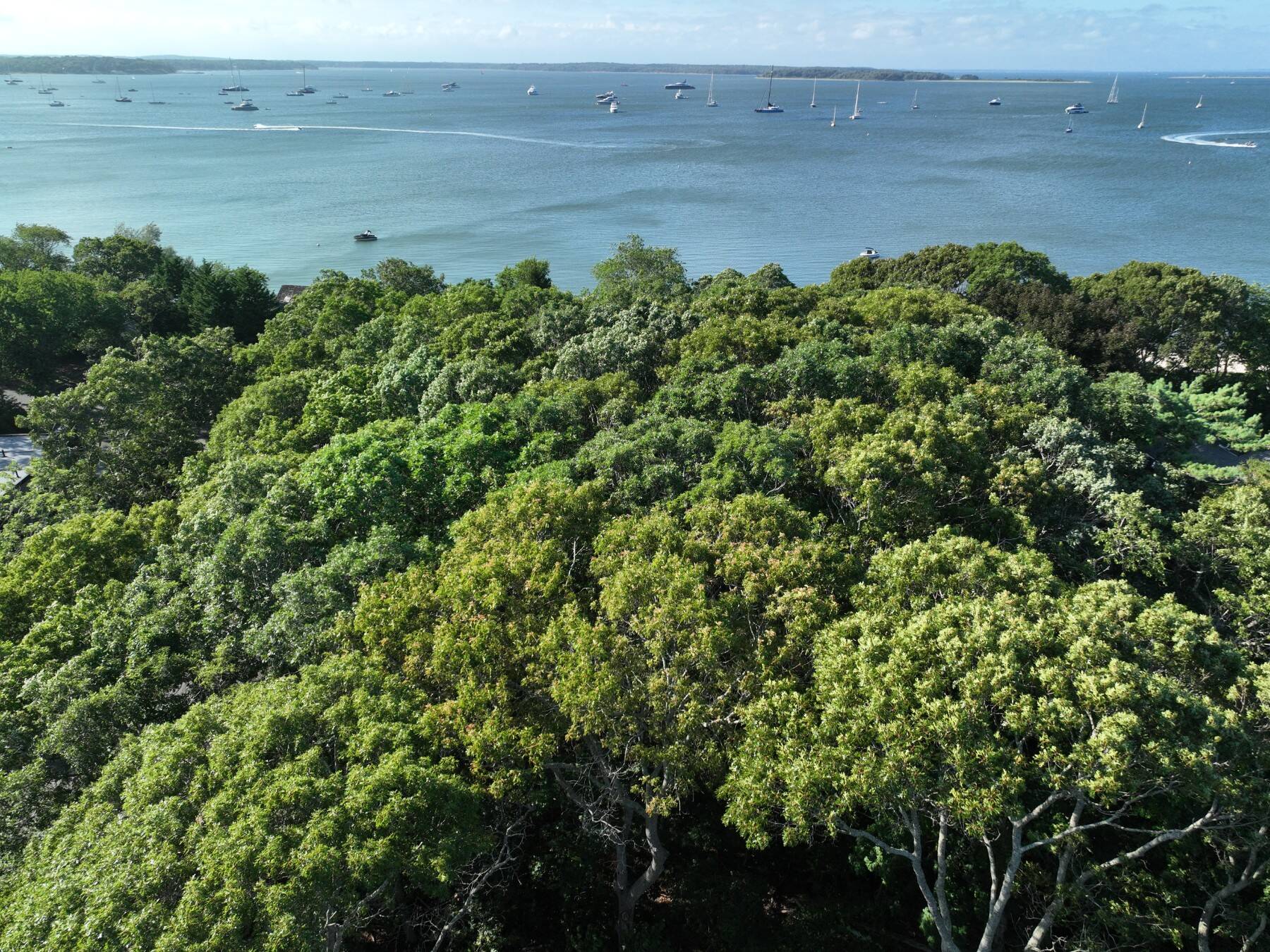 Sag Harbor Village Land Near Private Beach