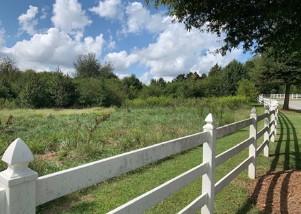 Land View From Birkdale Blvd