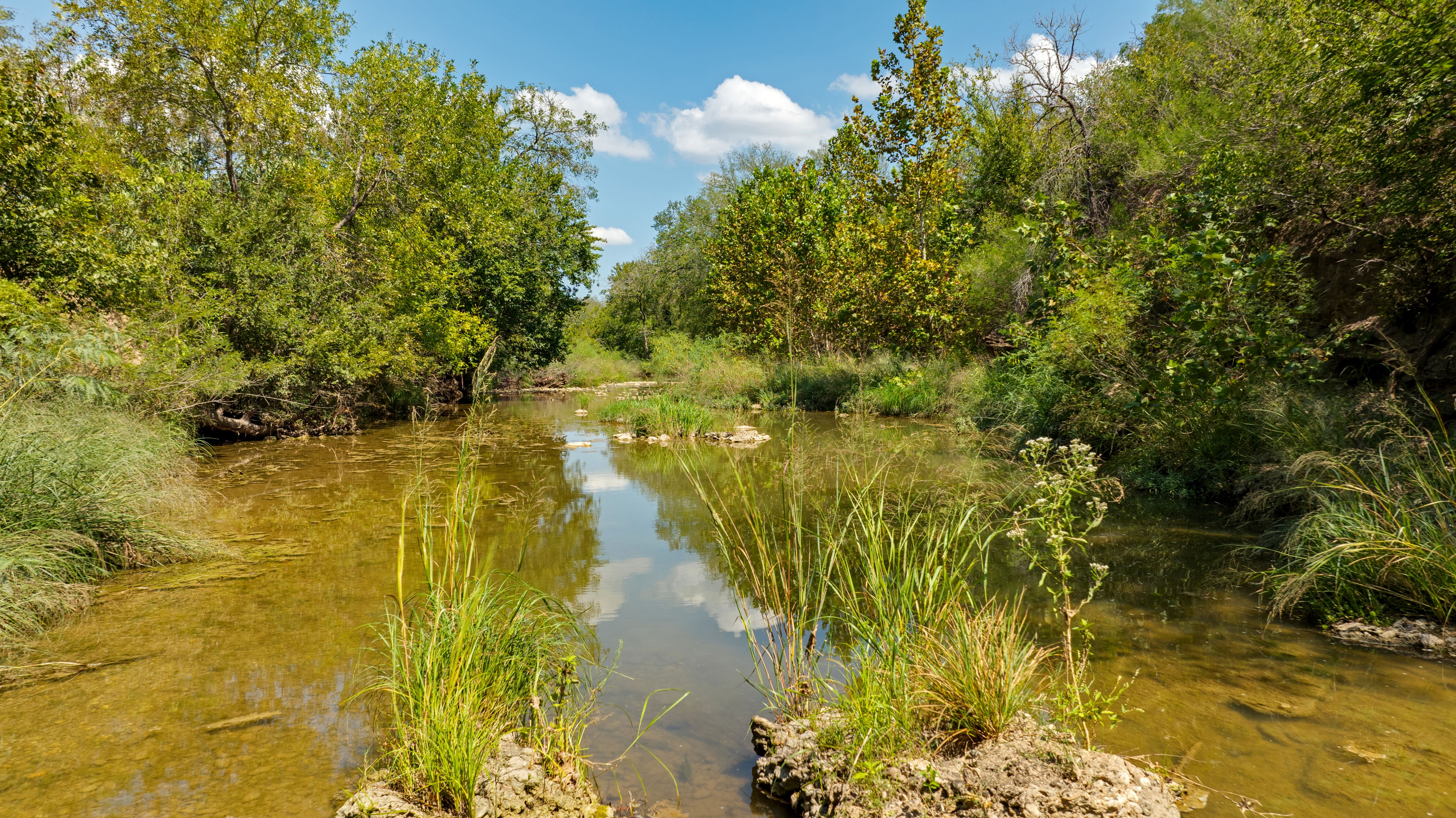 Stunning Property Along The Pedernales