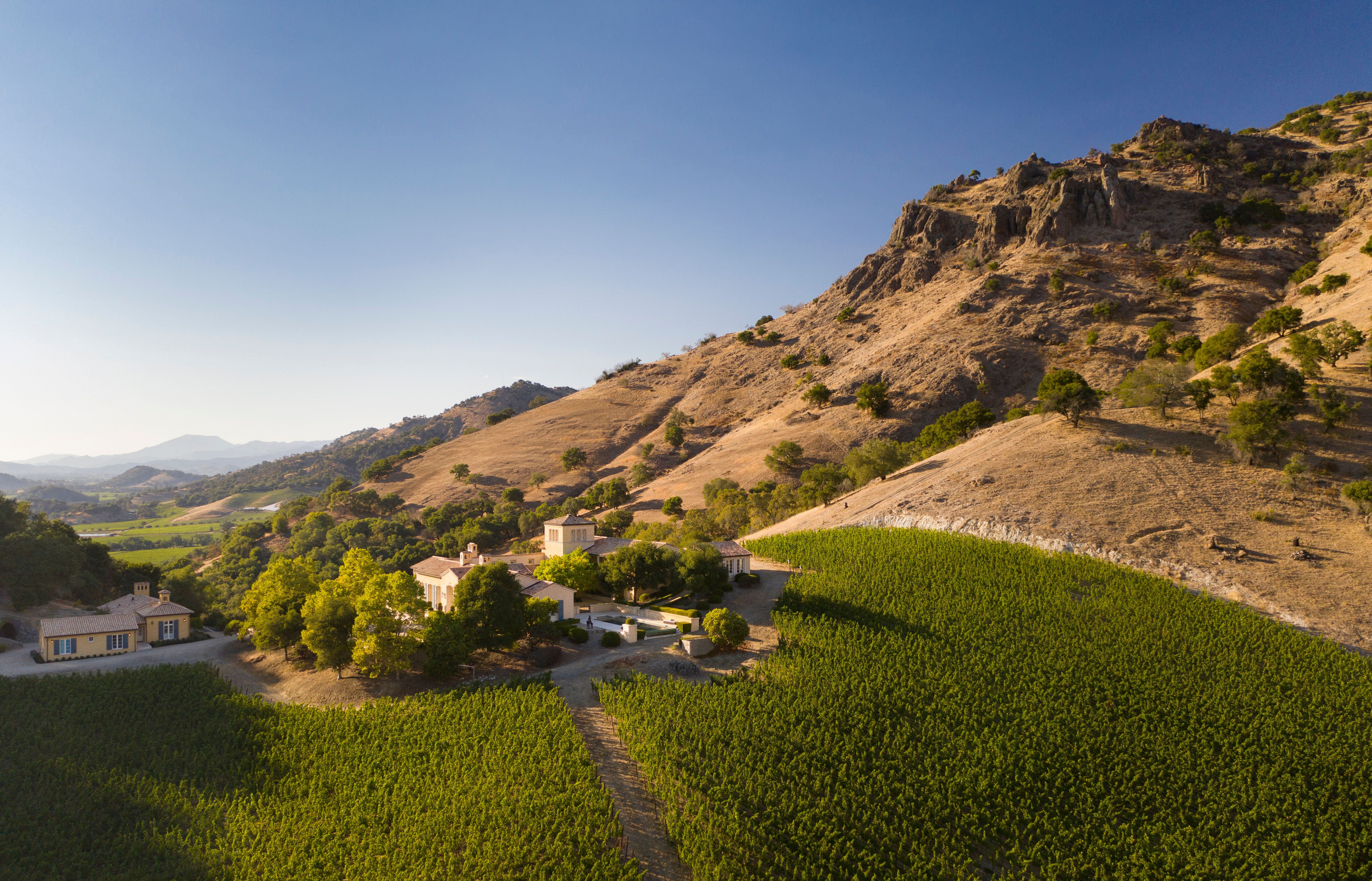 Stunning 110-Acre Napa Vineyard Estate