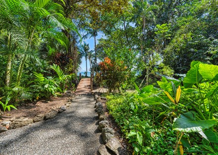 Beachfront Eco Lodge and Retreat in Cabo Matapalo, Osa Peninsula