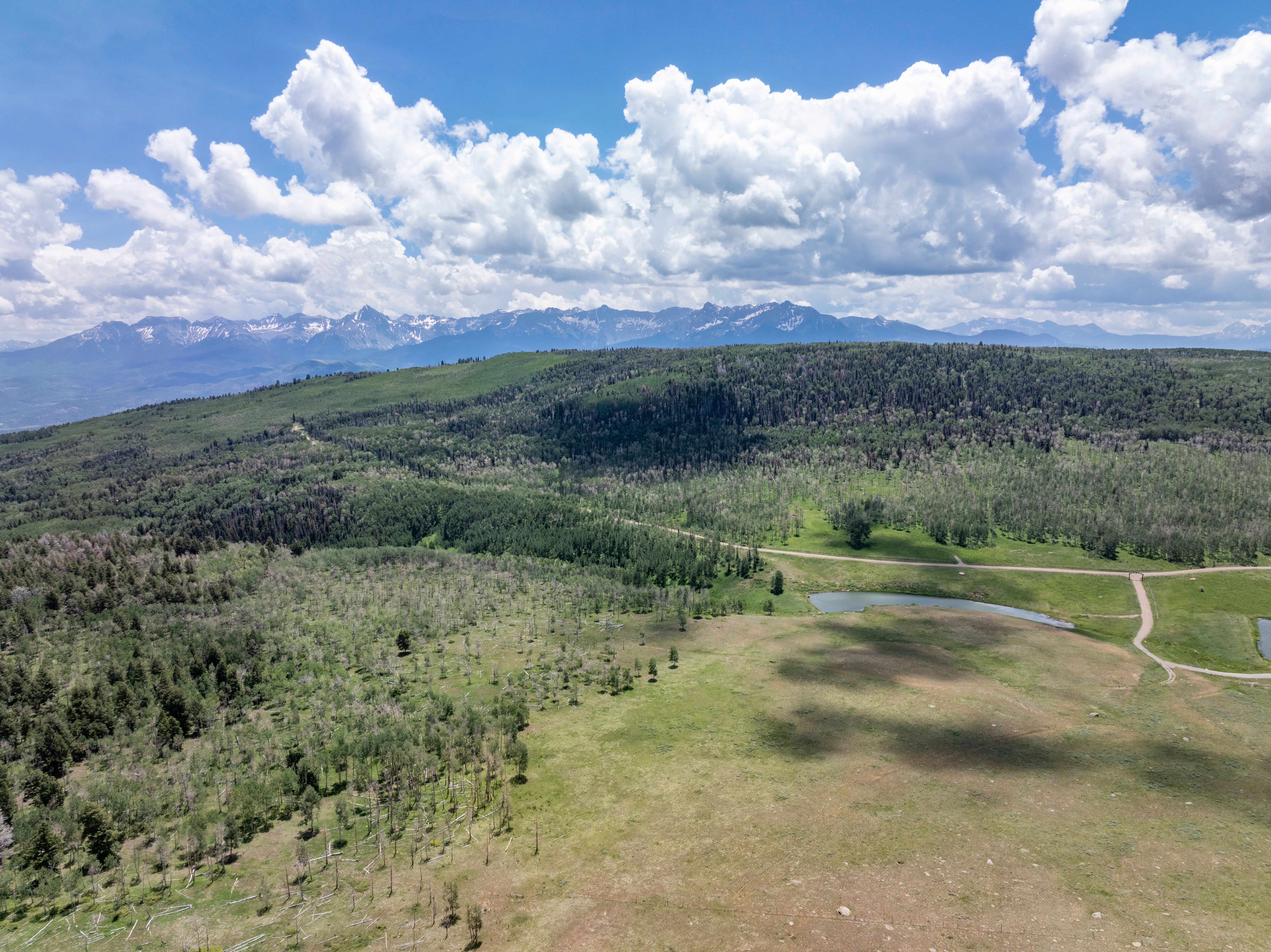 TBD Little Rose Lane, Ridgway, CO, 81432