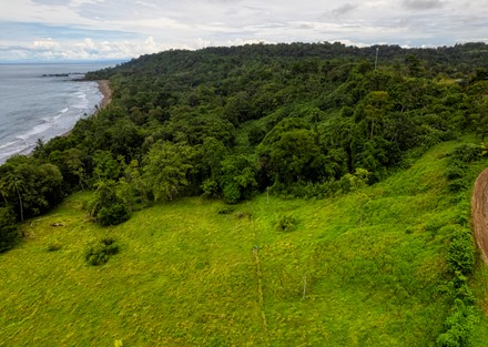 Ready to Divide Eco Beachfront Retreat Property in Drake Bay Ready to Build