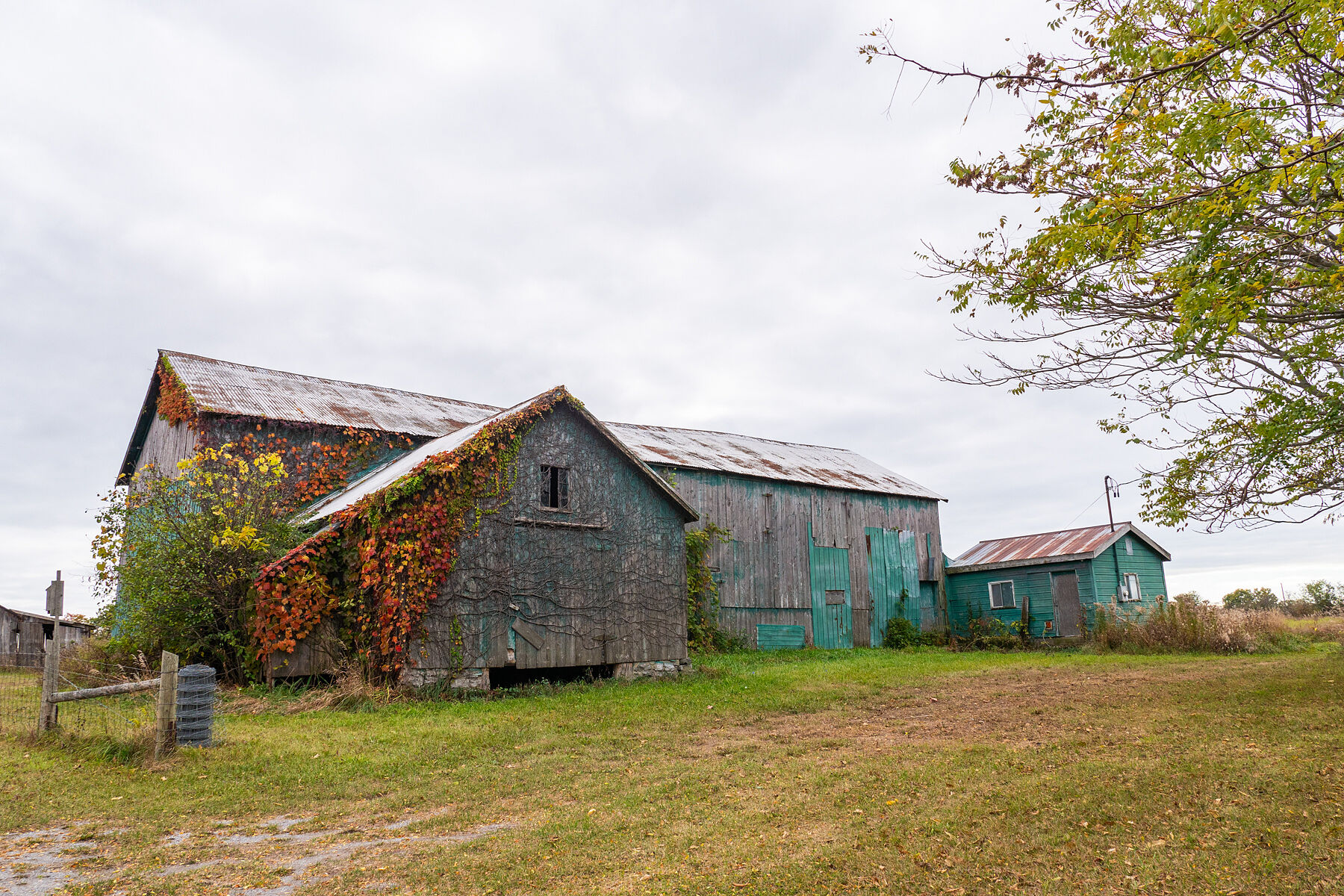 Prince Edward County