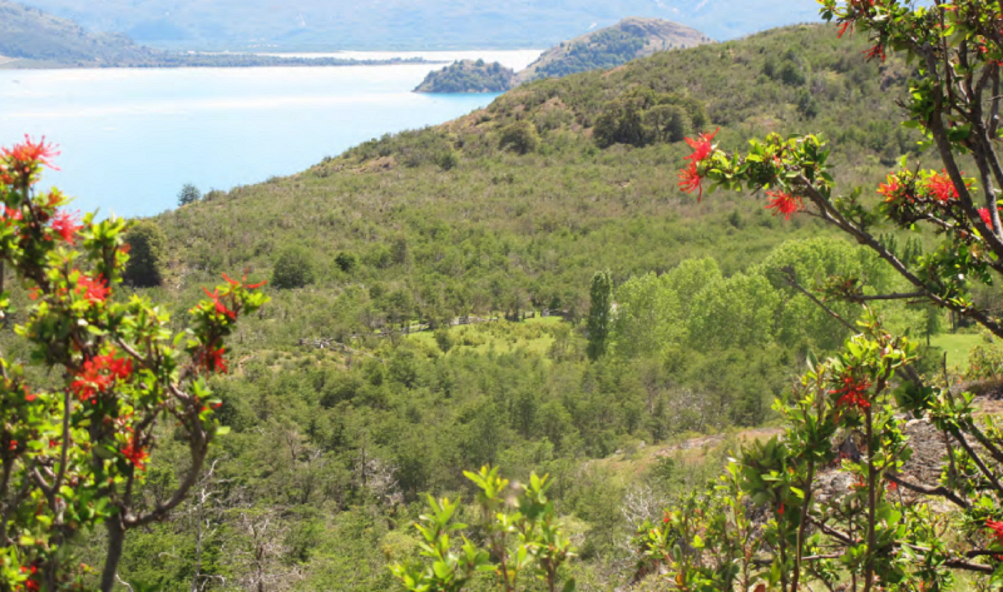 Maiten Norte, Puerto Guadal Lago General Carrera