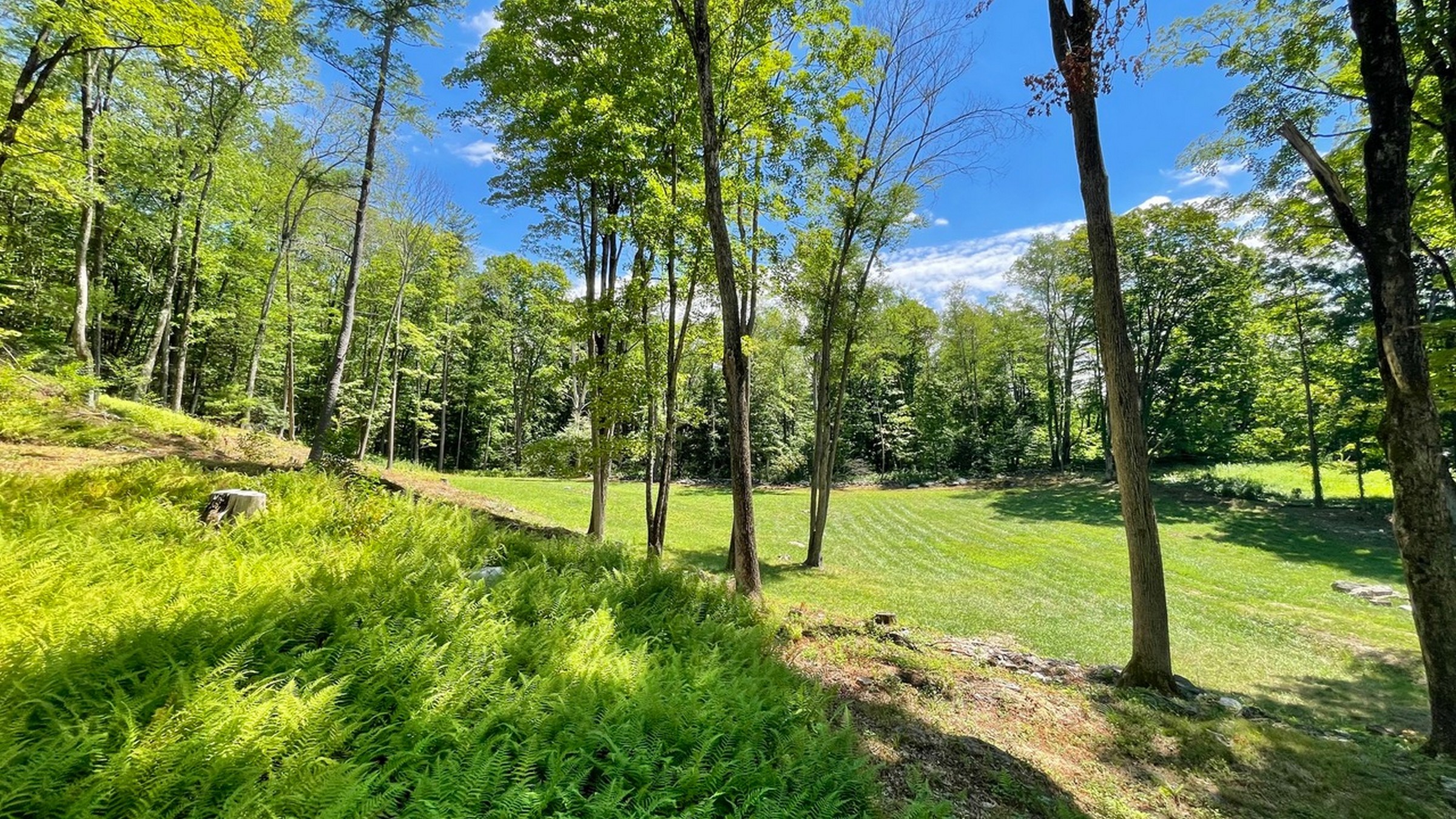 Building Lot with a Handsome Meadow