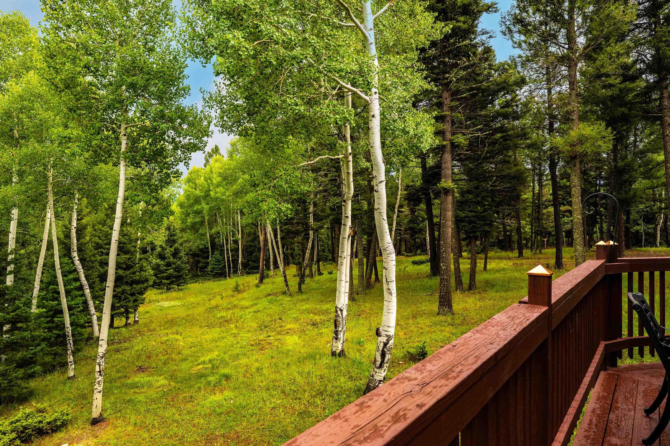 111 Pam Coleman Dr, Angel Fire, NM 87710