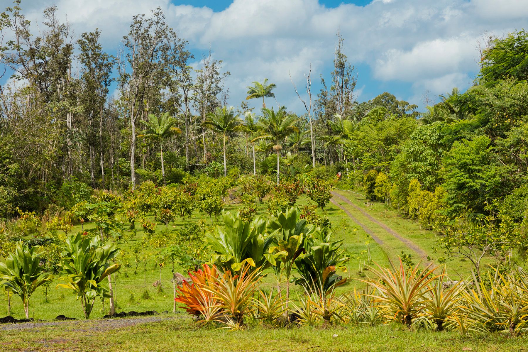 16-1487 39th Avenue, Keaau, HI 96749