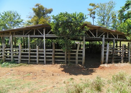 1083 Acre Farm near Quepos