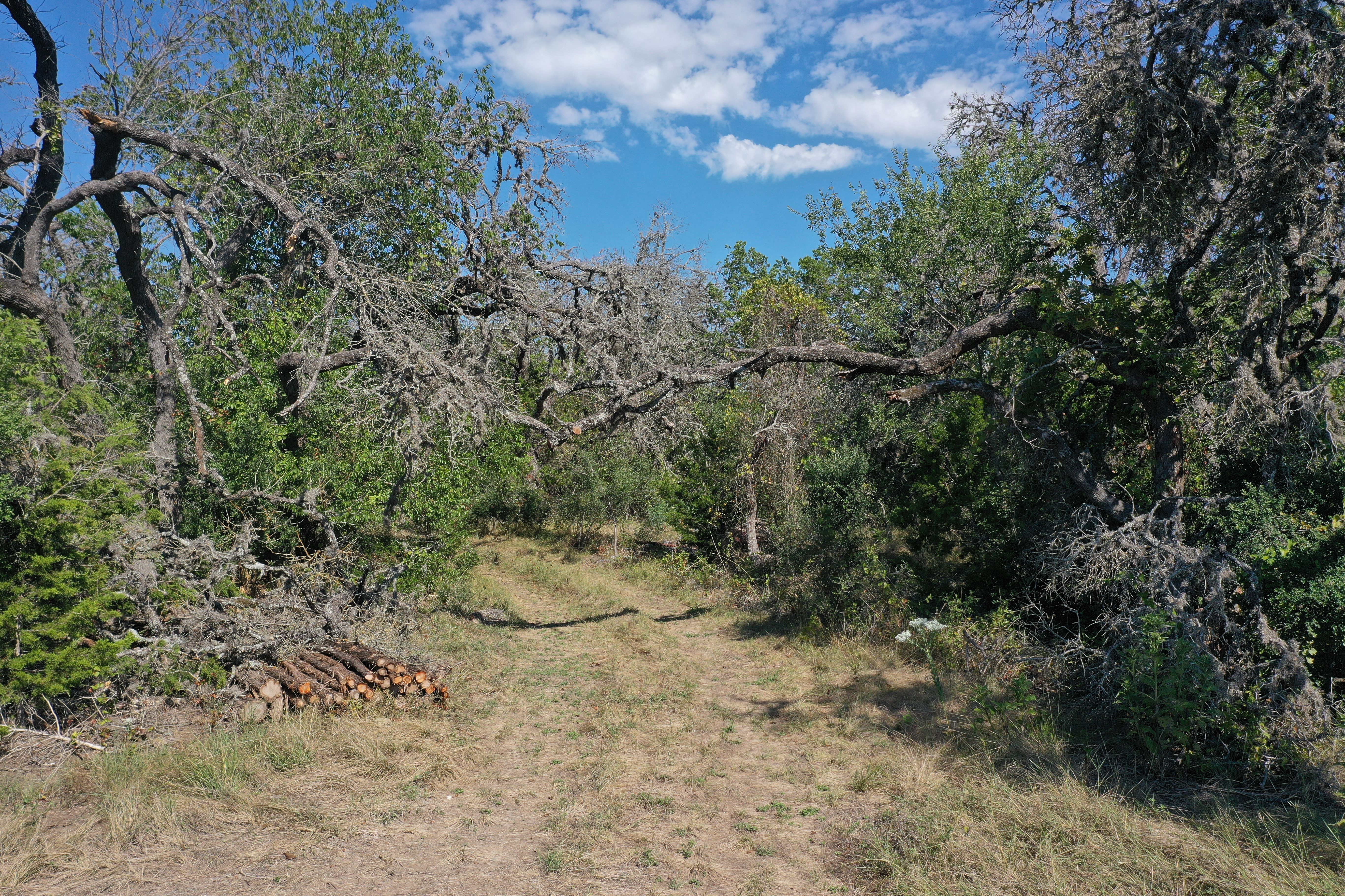 20+/- Acres Seco Pass Ranch, Bandera County , Tarpley, TX 78883