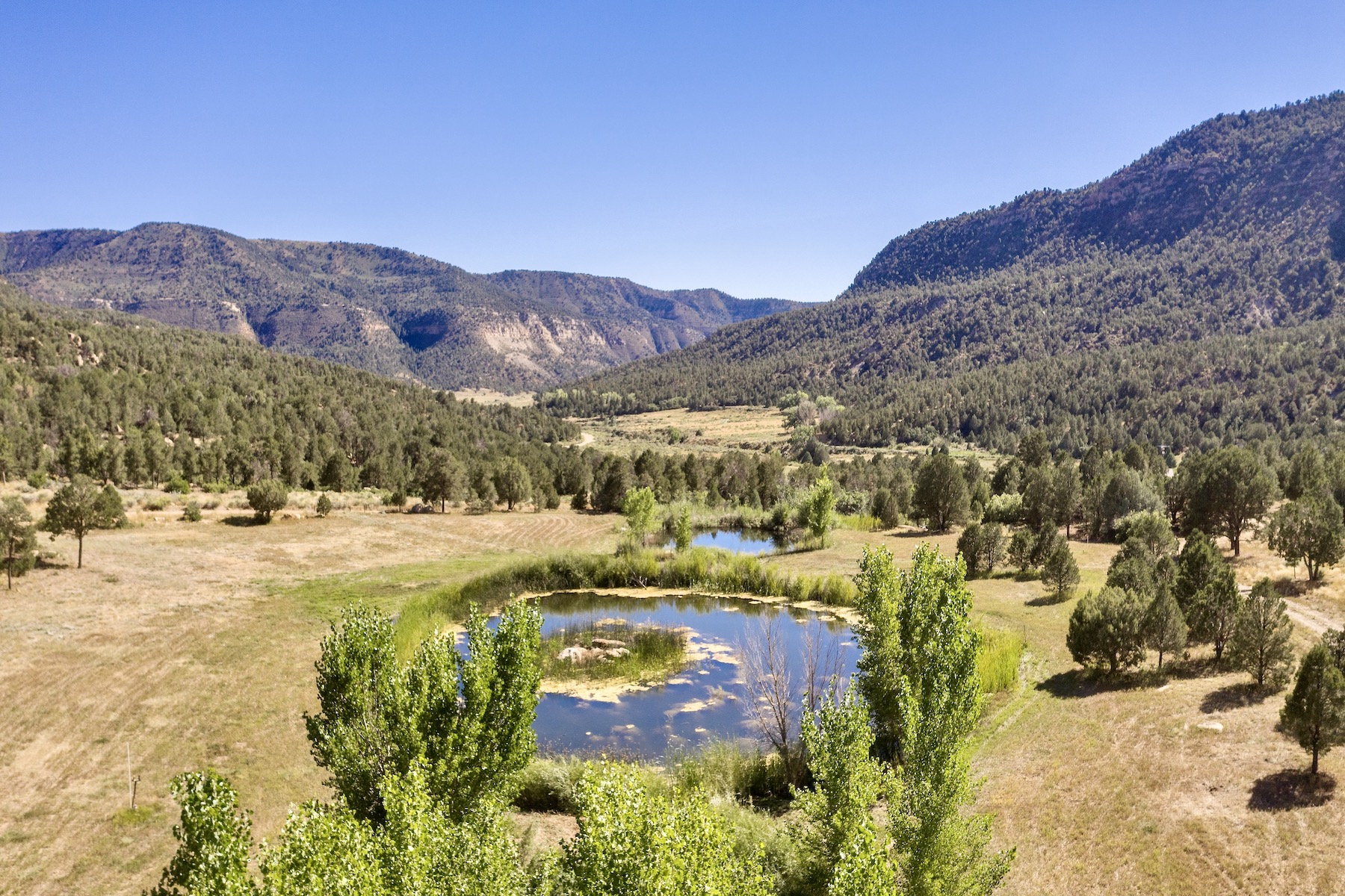 Weber Creek Ranch