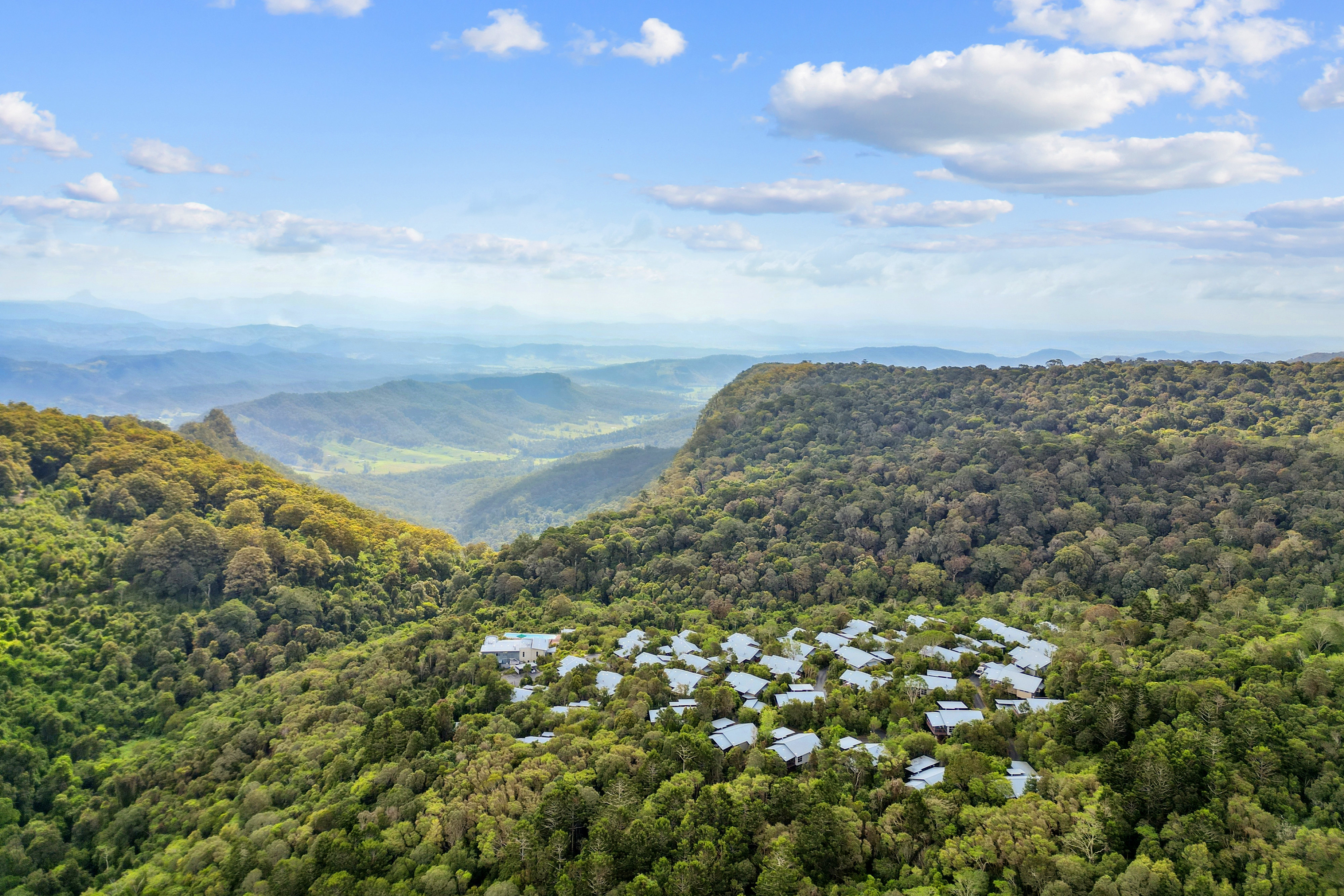 Oreillys And Green Mountains