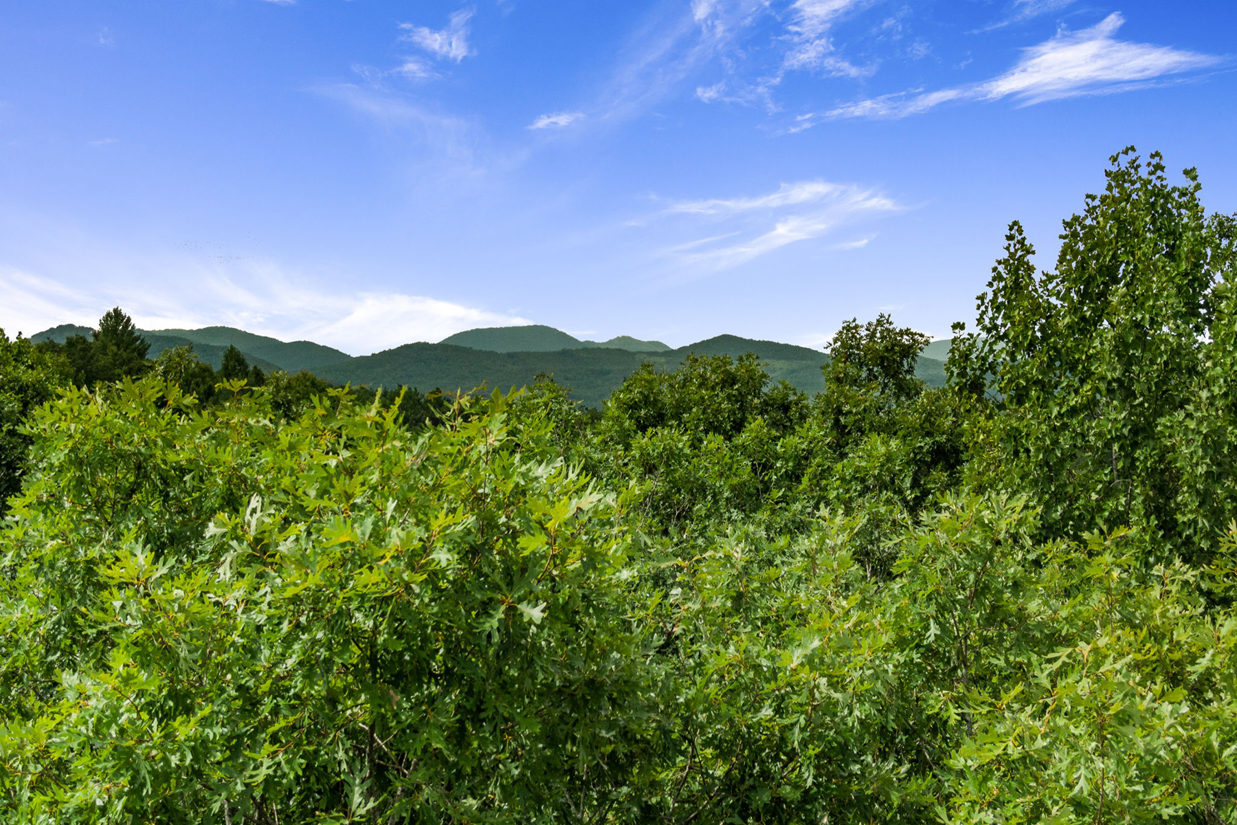 Gentle Laying Estate-Sized Lot in the North Georgia Mountains