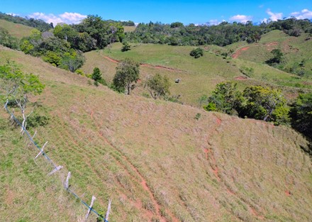 Farm to Develop in Pacuarito