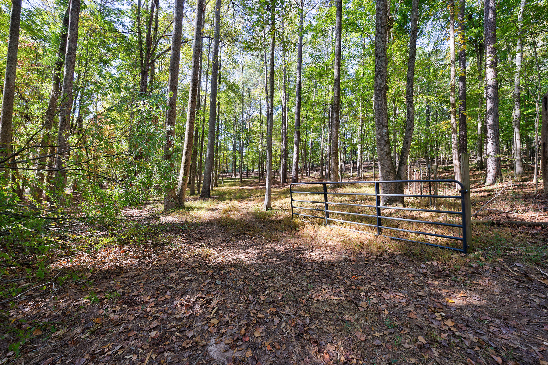 Privacy Galore On 7 Acres in the Sweet Spot of Cherokee  Alpharetta Address