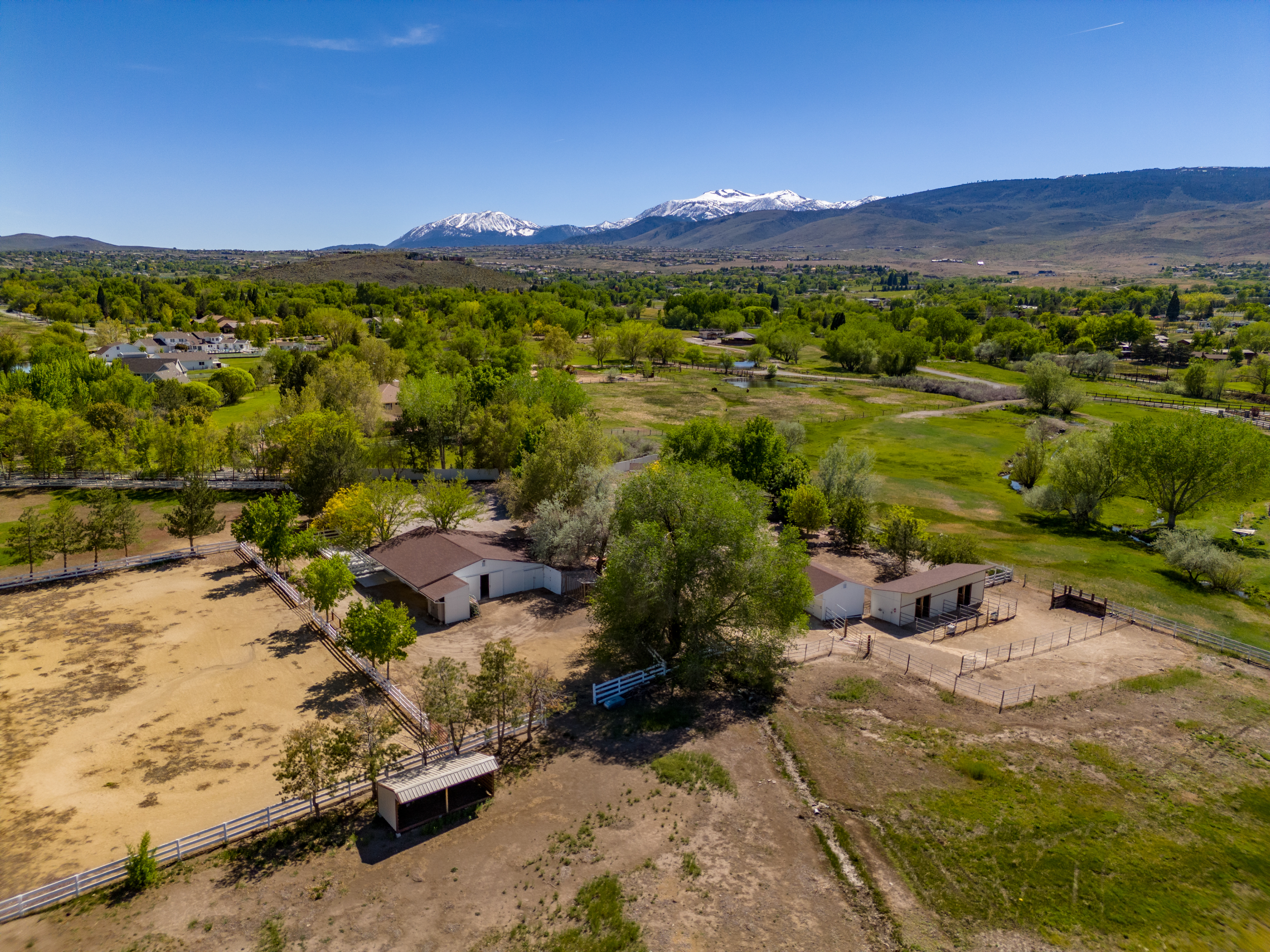 Equestrian Elegance in the Heart of Reno