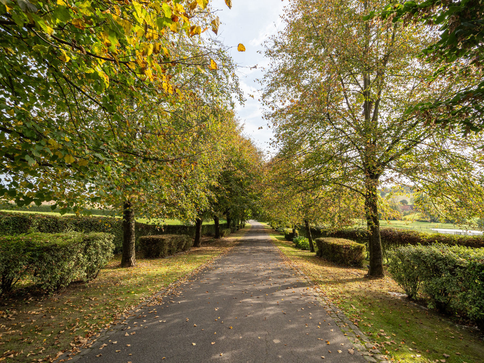 Brabant Wallon I Bornival