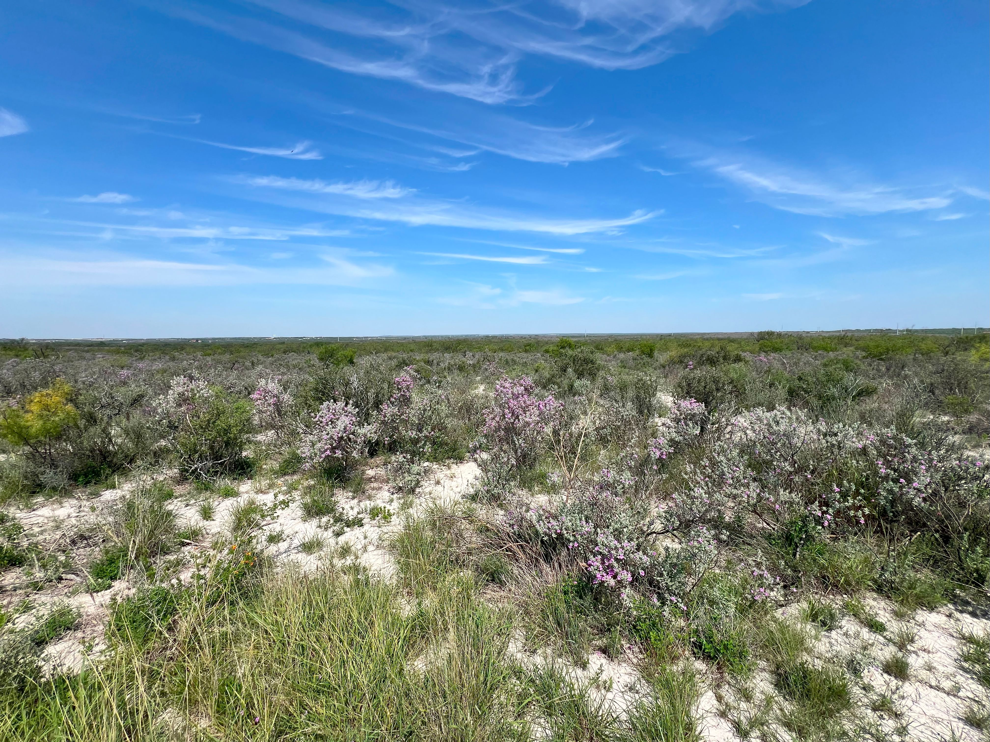 701+/- Acres Rembla Ranch, Val Verde County, Del rio, TX 78840