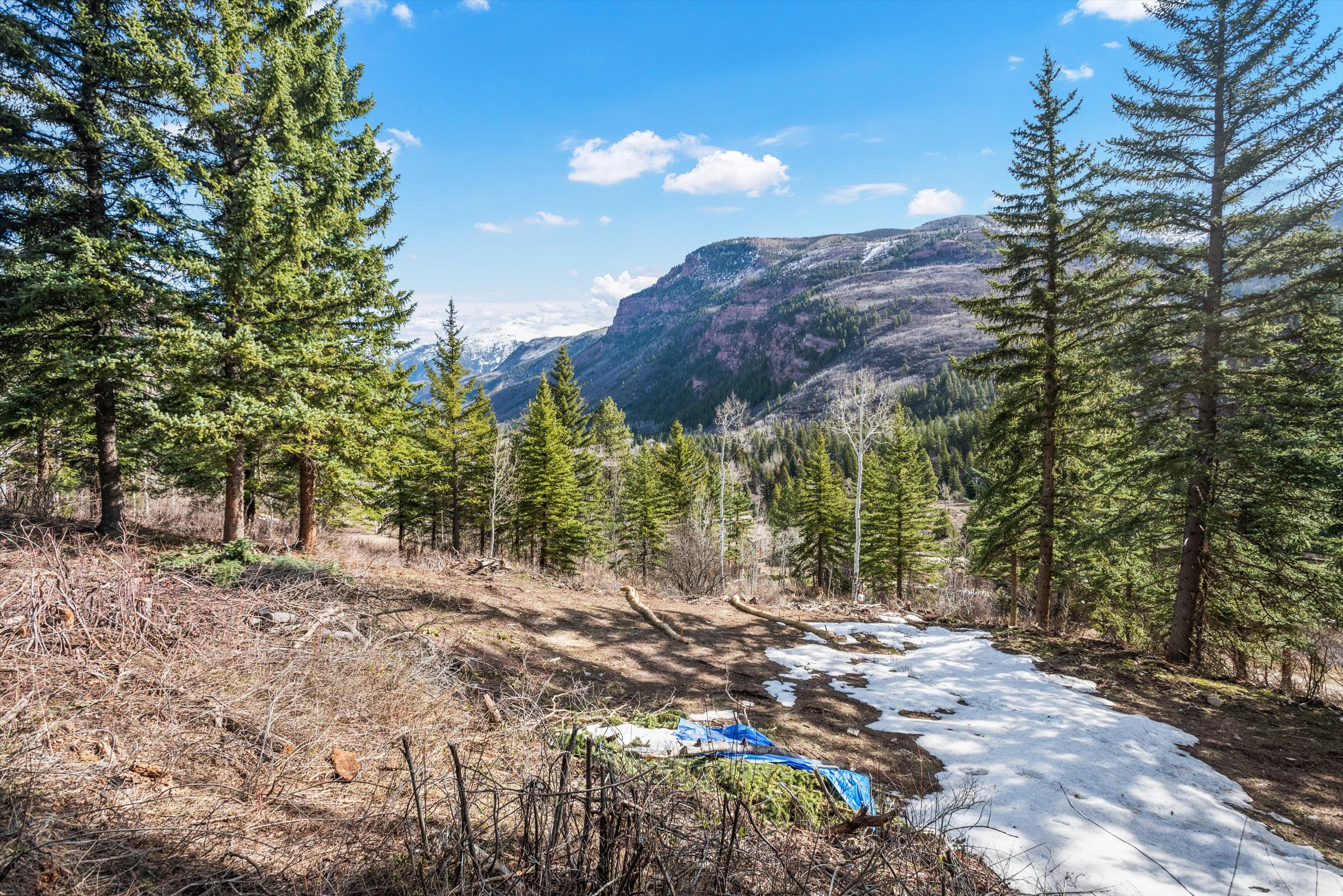 TBD Elk Mountain Drive, Redstone, CO 81623