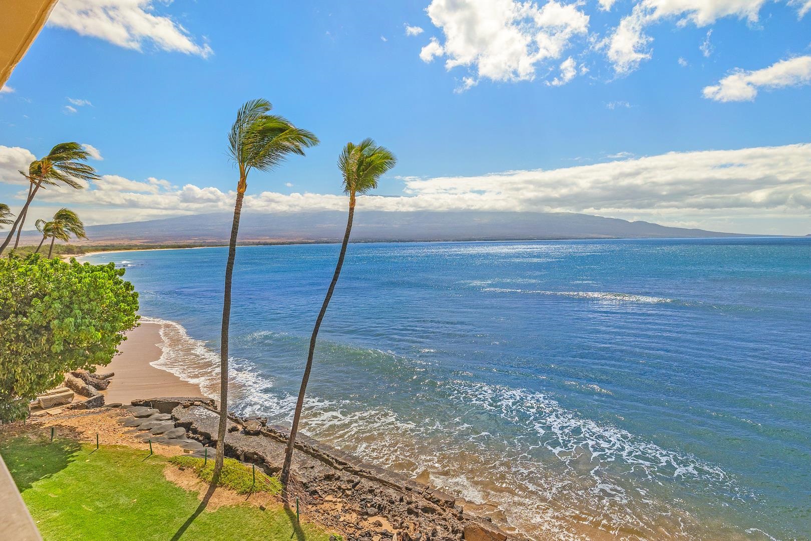 Hauoli St, Wailuku, HI 96793 #1