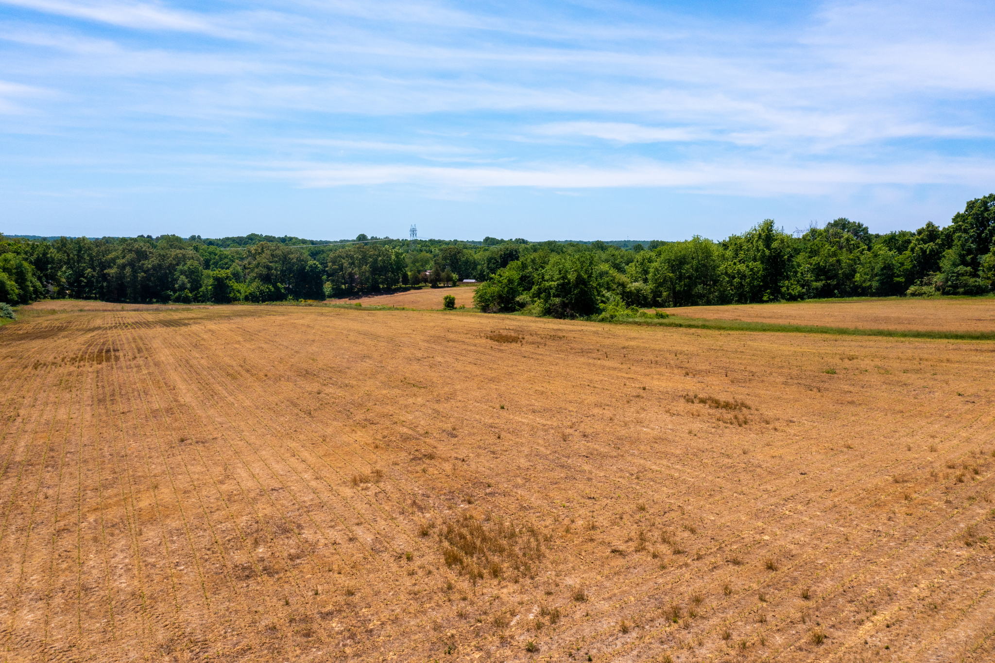 Century 21 Springfield, TN