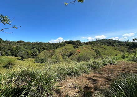 Farm to Develop in Pacuarito