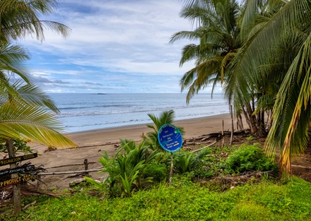 Ready to Divide Eco Beachfront Retreat Property in Drake Bay Ready to Build